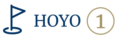 hoyo 1 color